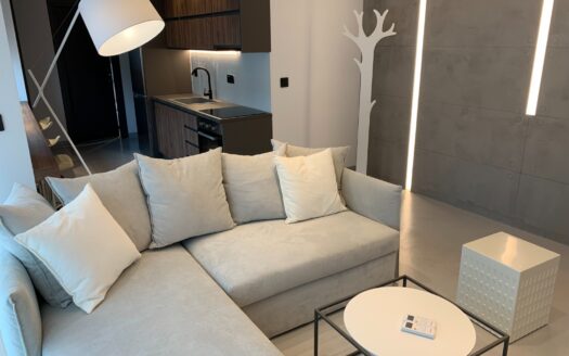 Renovated 70 m² Apartment in Thessaloniki City Centre